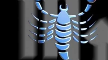 نسب نجاح مرتفعة.. مواليد 3 أبراج يحسمون قائمة الشركاء المثاليين لمواليد العقرب 2026